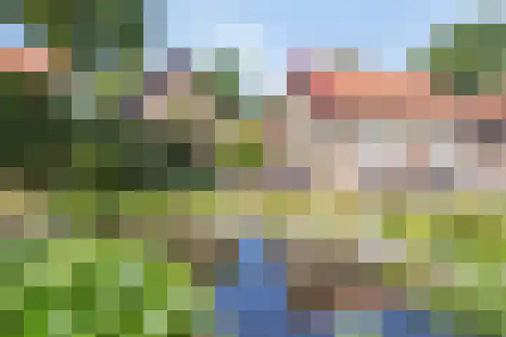 Koekoeksweg 10 Vaassen thumbnail 40