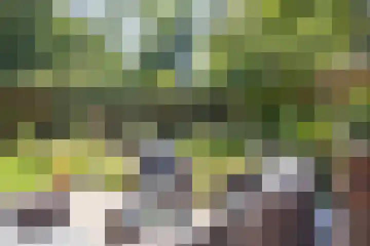 Koekoeksweg 10 Vaassen thumbnail 41