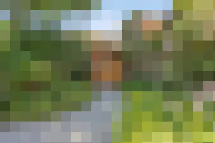 Koekoeksweg 10 Vaassen thumbnail 42