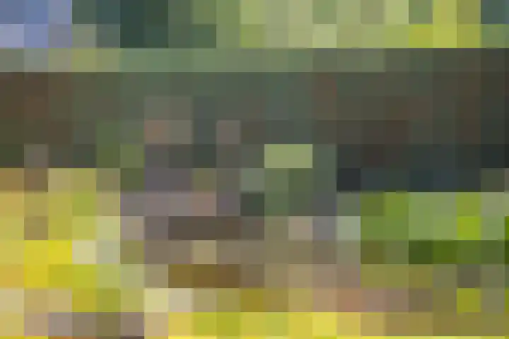 Koekoeksweg 10 Vaassen thumbnail 43