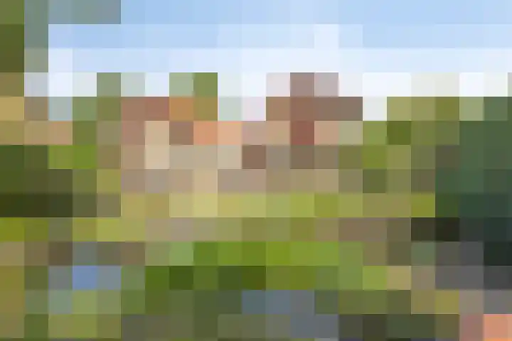 Koekoeksweg 10 Vaassen thumbnail 46