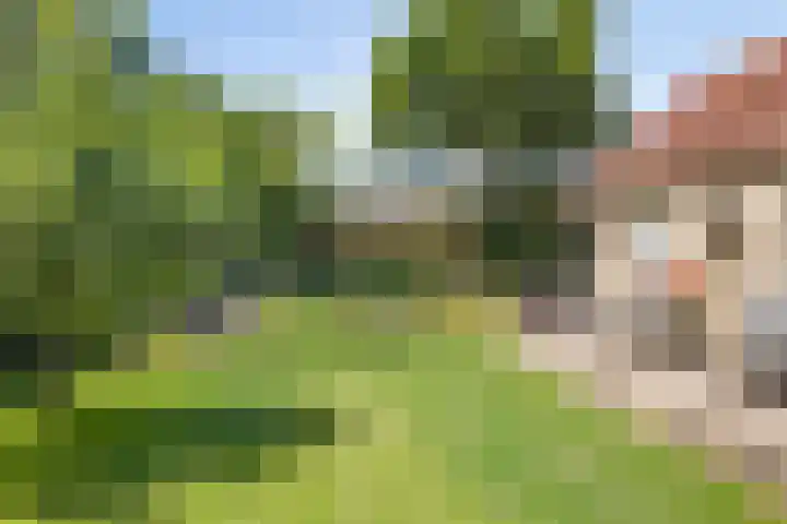 Koekoeksweg 10 Vaassen thumbnail 47