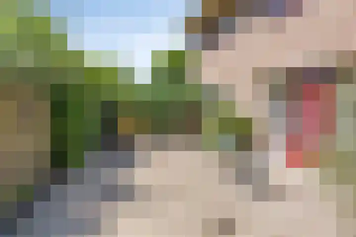 Koekoeksweg 10 Vaassen thumbnail 48