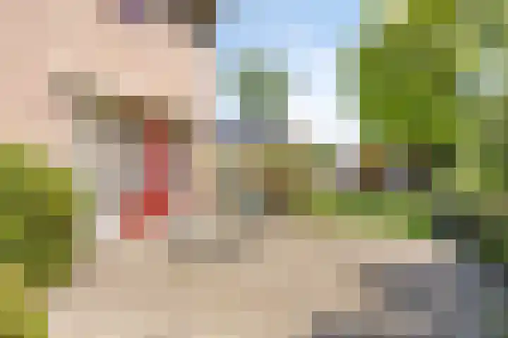 Koekoeksweg 10 Vaassen thumbnail 49