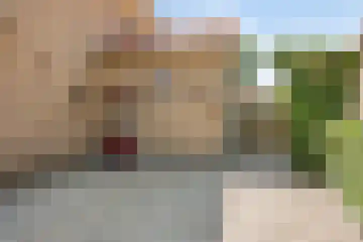 Koekoeksweg 10 Vaassen thumbnail 5