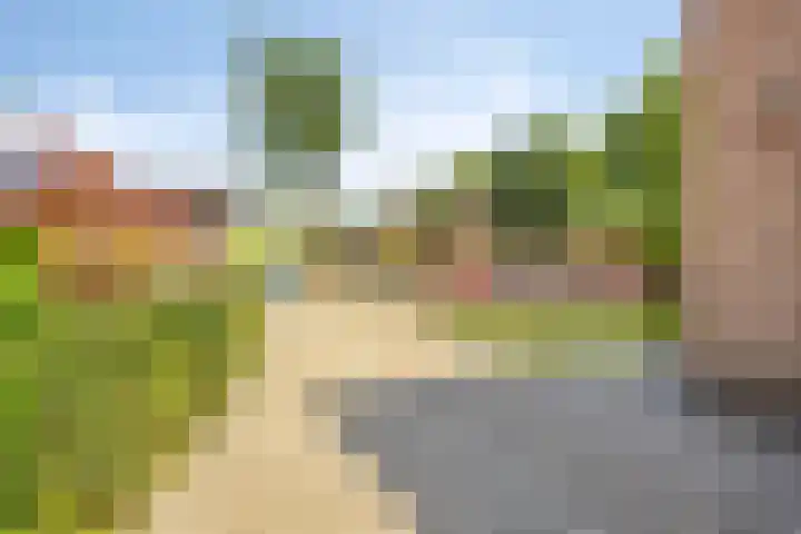 Koekoeksweg 10 Vaassen thumbnail 50