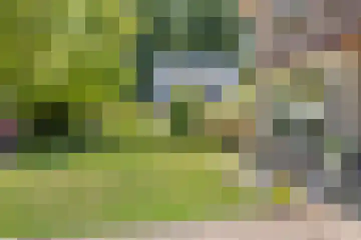 Koekoeksweg 10 Vaassen thumbnail 51