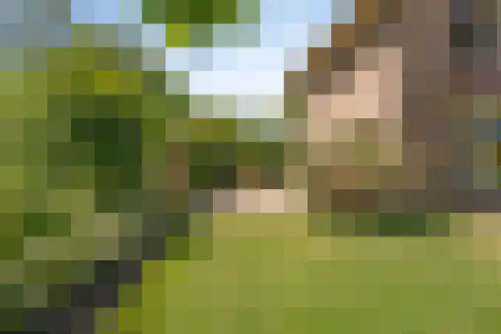 Koekoeksweg 10 Vaassen thumbnail 53