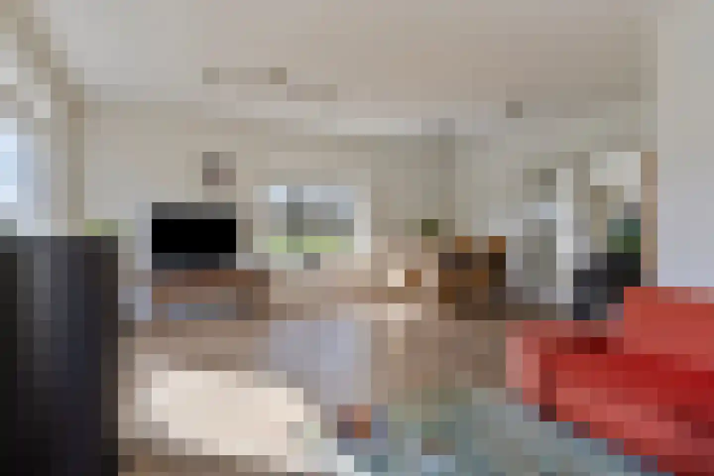Koekoeksweg 12 Dwingeloo thumbnail 11