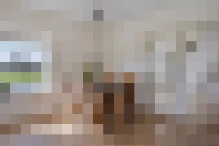Koekoeksweg 12 Dwingeloo thumbnail 11