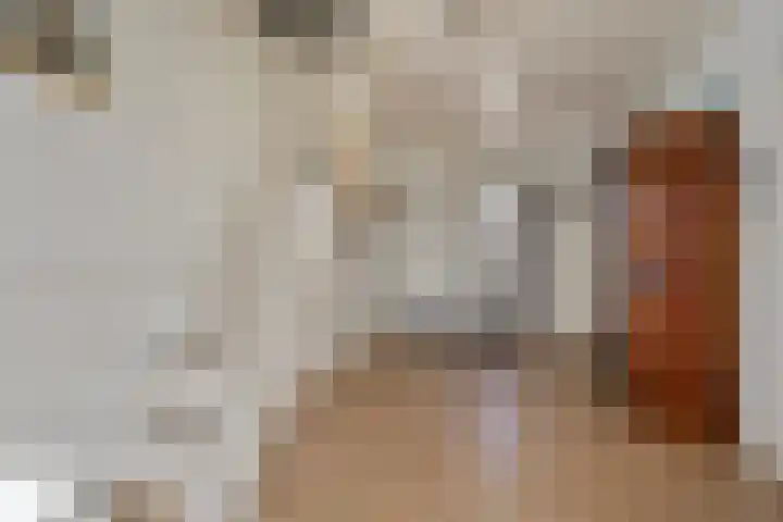 Koekoeksweg 12 Dwingeloo thumbnail 12