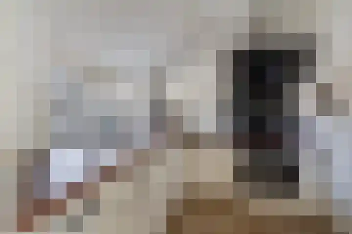 Koekoeksweg 12 Dwingeloo thumbnail 13