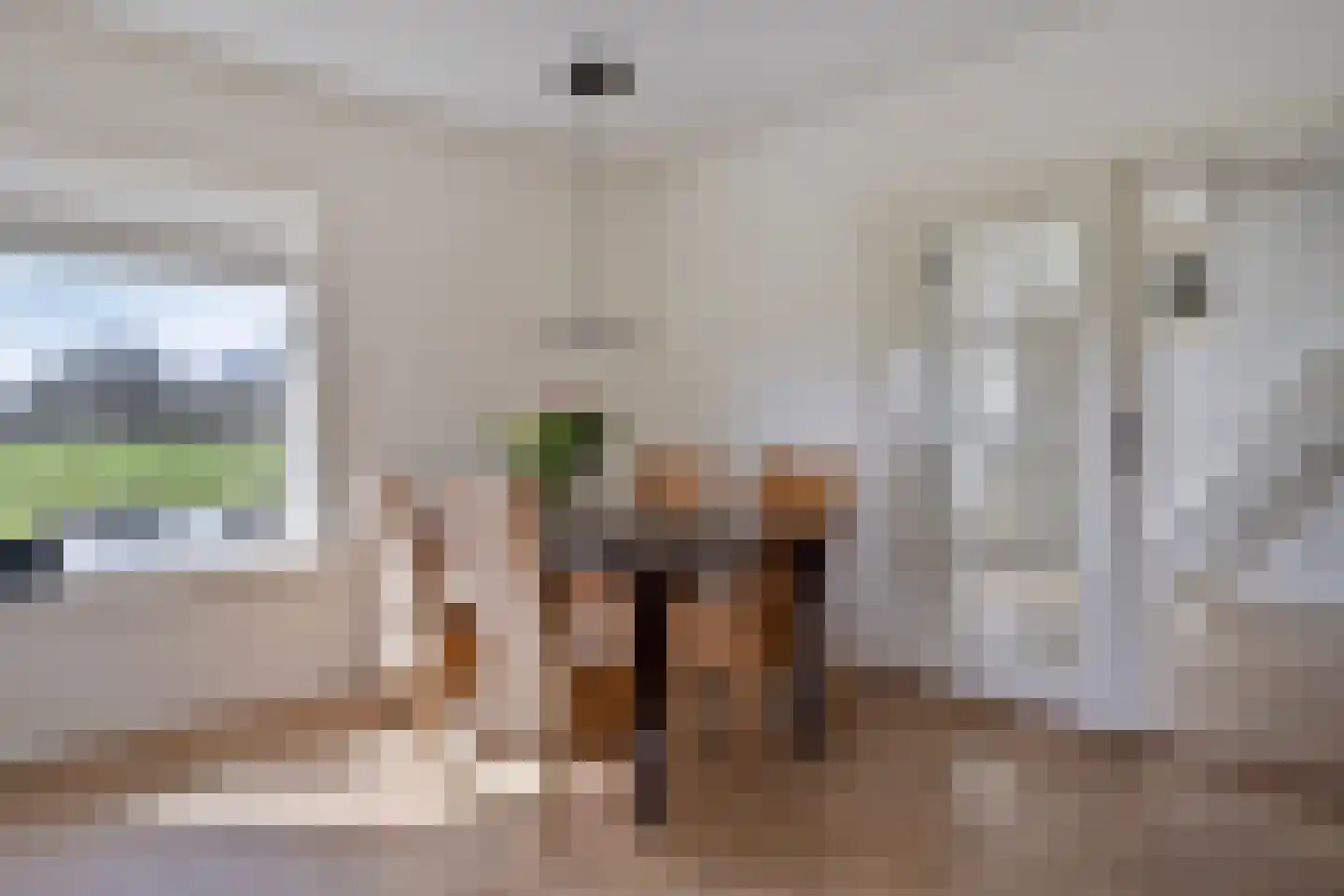 Koekoeksweg 12 Dwingeloo thumbnail 13
