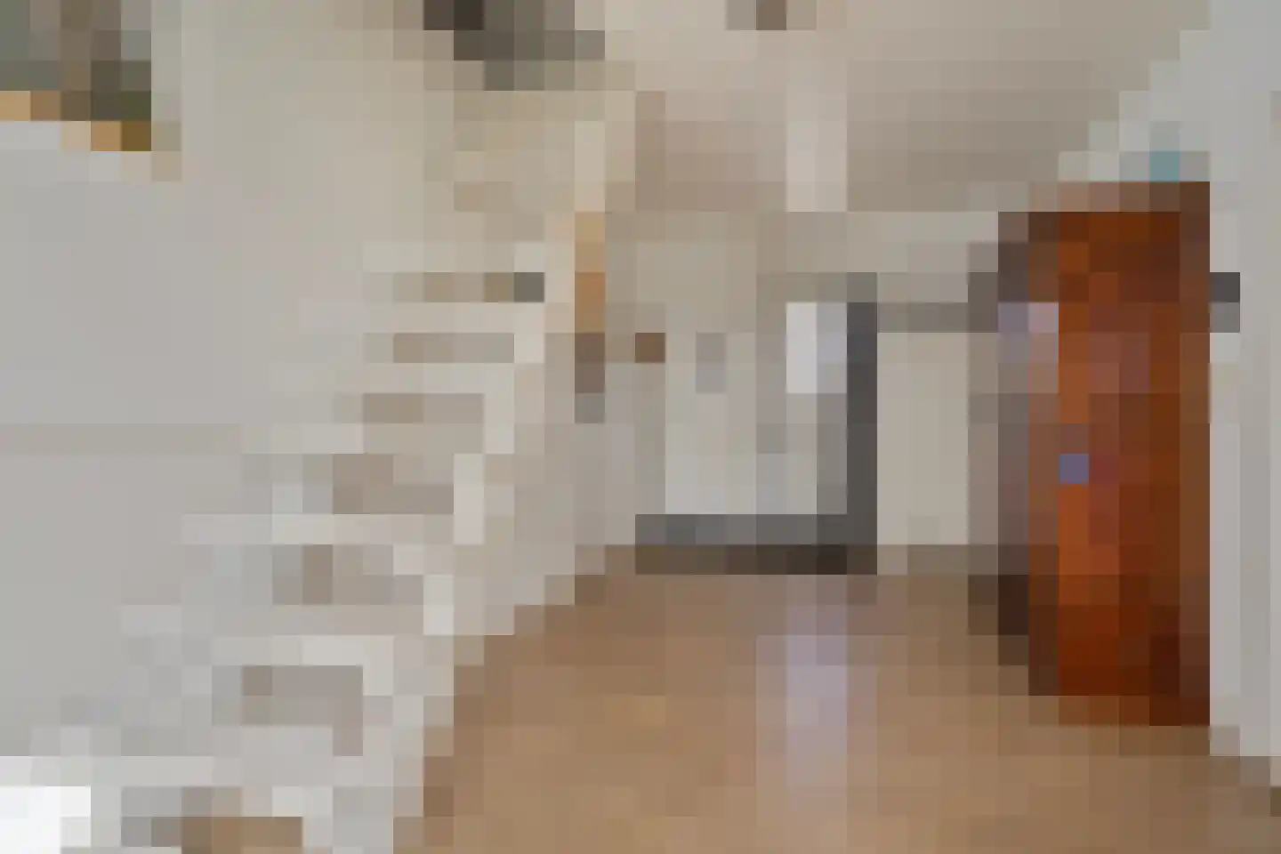 Koekoeksweg 12 Dwingeloo thumbnail 14