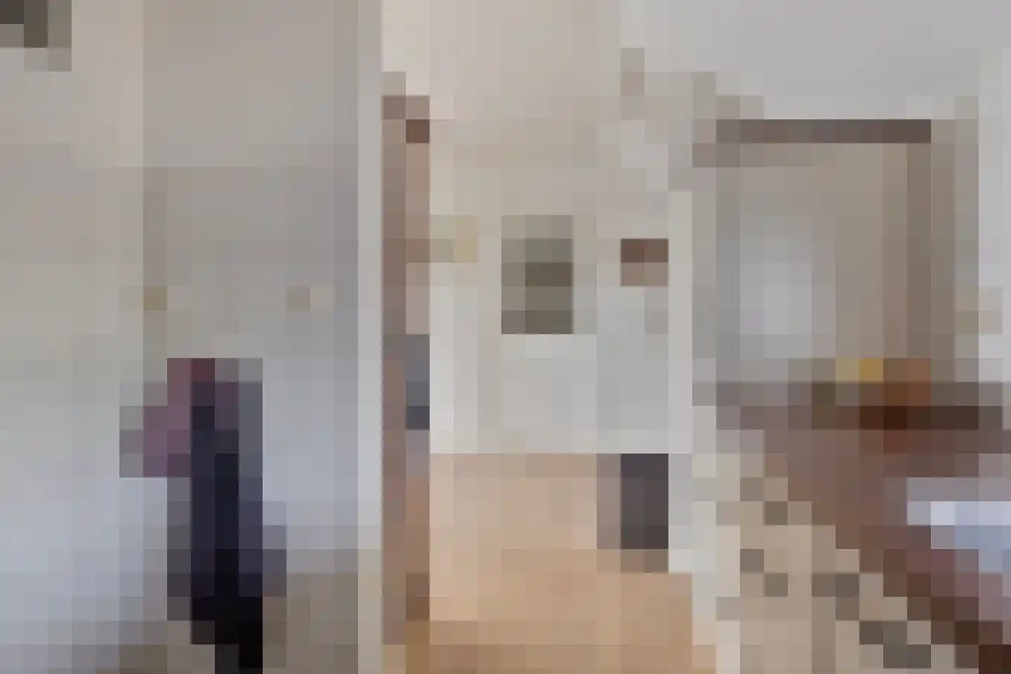 Koekoeksweg 12 Dwingeloo thumbnail 17