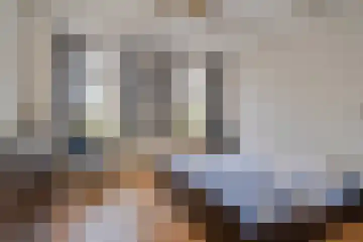 Koekoeksweg 12 Dwingeloo thumbnail 17