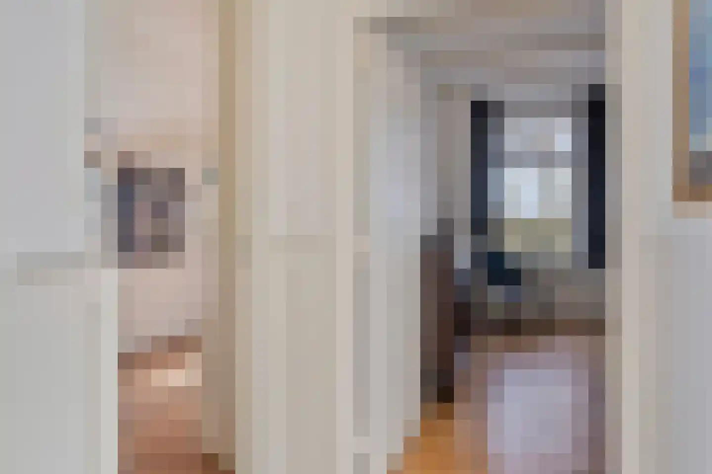 Koekoeksweg 12 Dwingeloo thumbnail 18