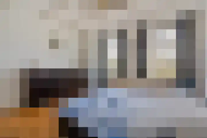 Koekoeksweg 12 Dwingeloo thumbnail 18