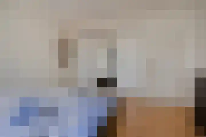 Koekoeksweg 12 Dwingeloo thumbnail 19