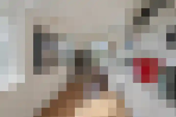 Koekoeksweg 12 Dwingeloo thumbnail 20