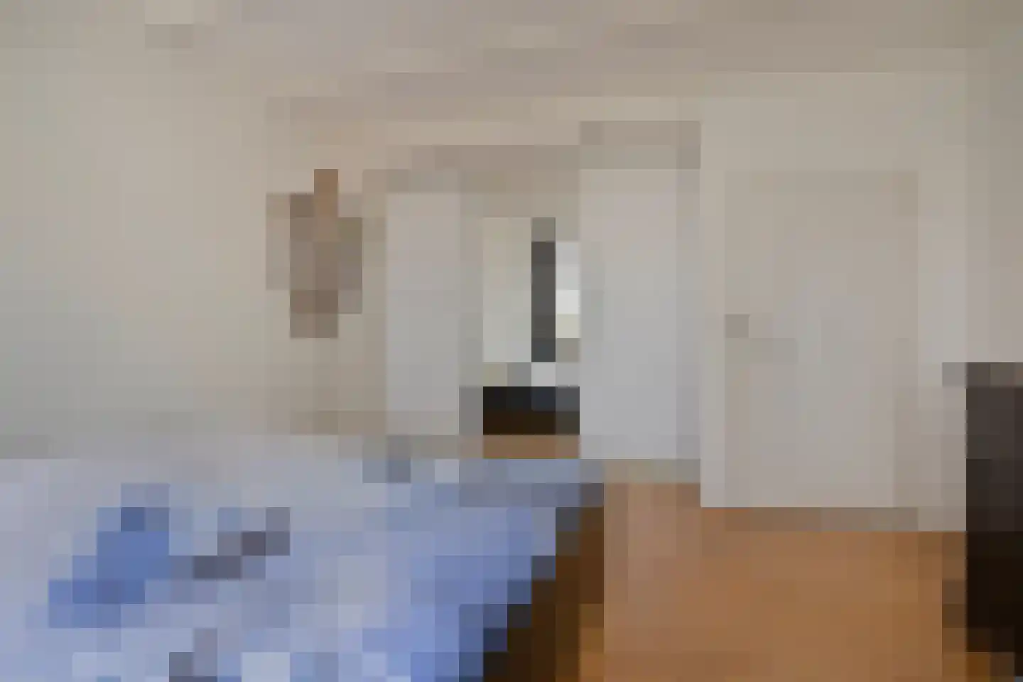 Koekoeksweg 12 Dwingeloo thumbnail 21