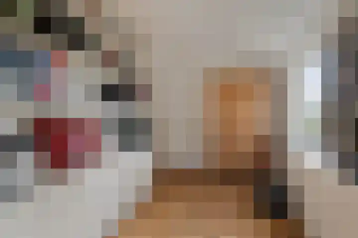Koekoeksweg 12 Dwingeloo thumbnail 21