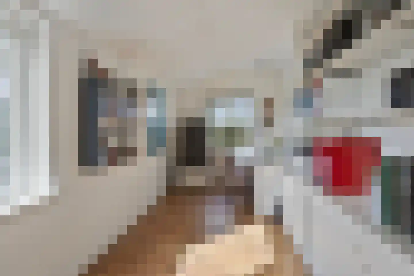 Koekoeksweg 12 Dwingeloo thumbnail 22