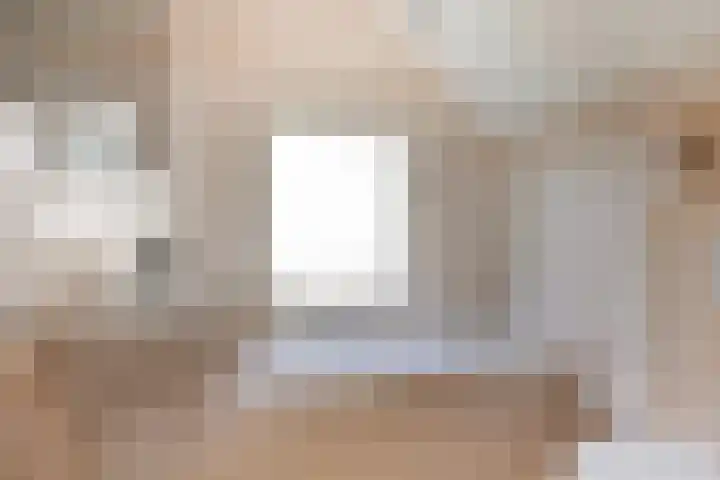 Koekoeksweg 12 Dwingeloo thumbnail 24