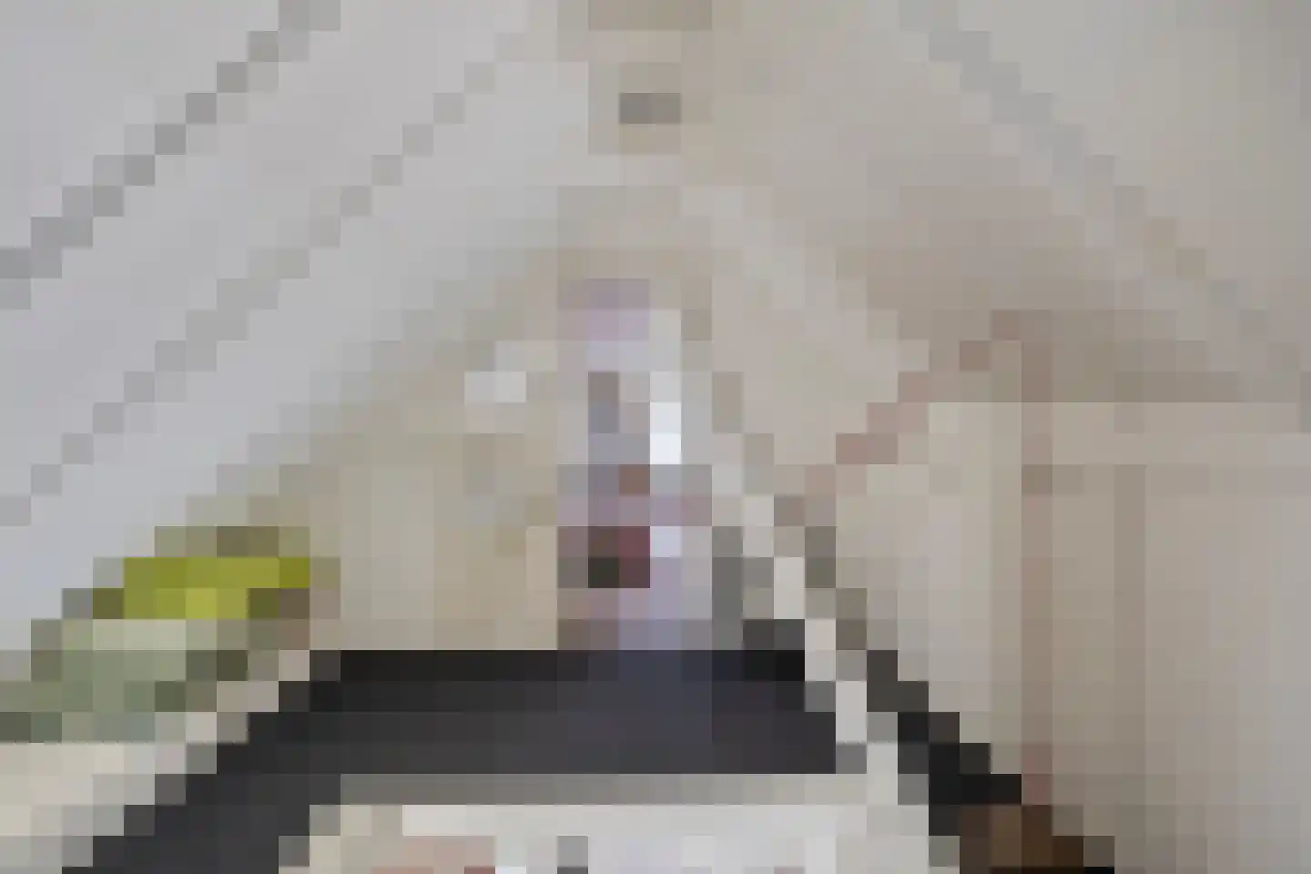 Koekoeksweg 12 Dwingeloo thumbnail 28