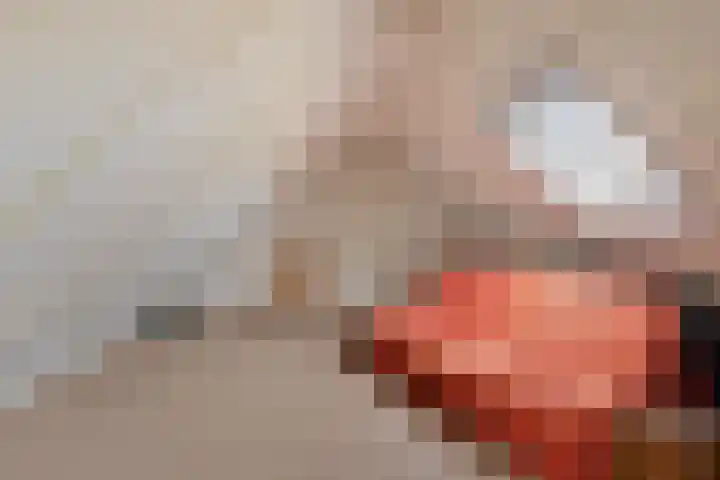 Koekoeksweg 12 Dwingeloo thumbnail 28