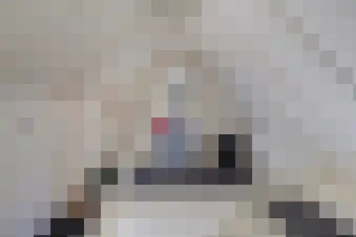 Koekoeksweg 12 Dwingeloo thumbnail 29