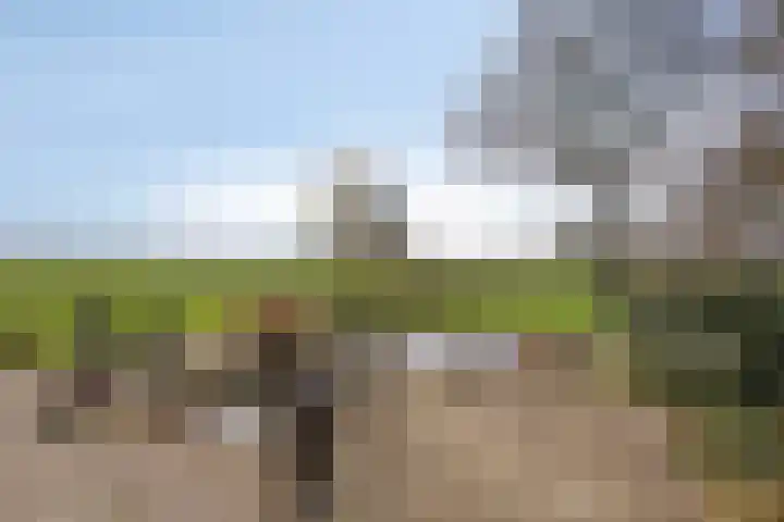 Koekoeksweg 12 Dwingeloo foto 3