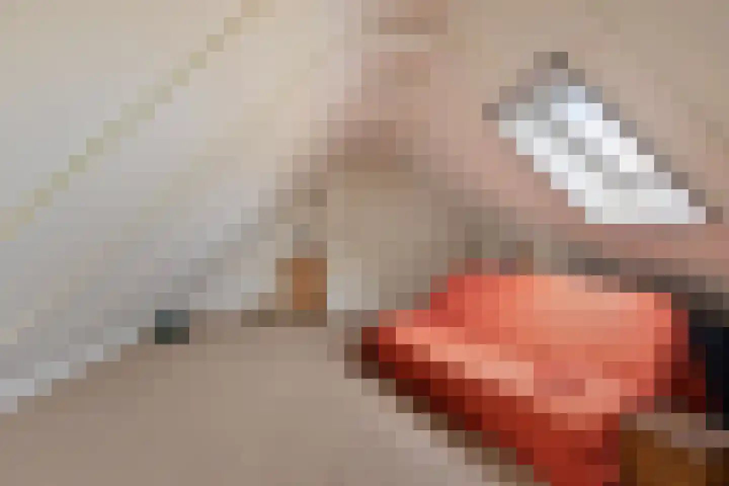 Koekoeksweg 12 Dwingeloo thumbnail 30