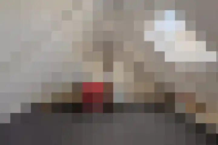 Koekoeksweg 12 Dwingeloo thumbnail 30