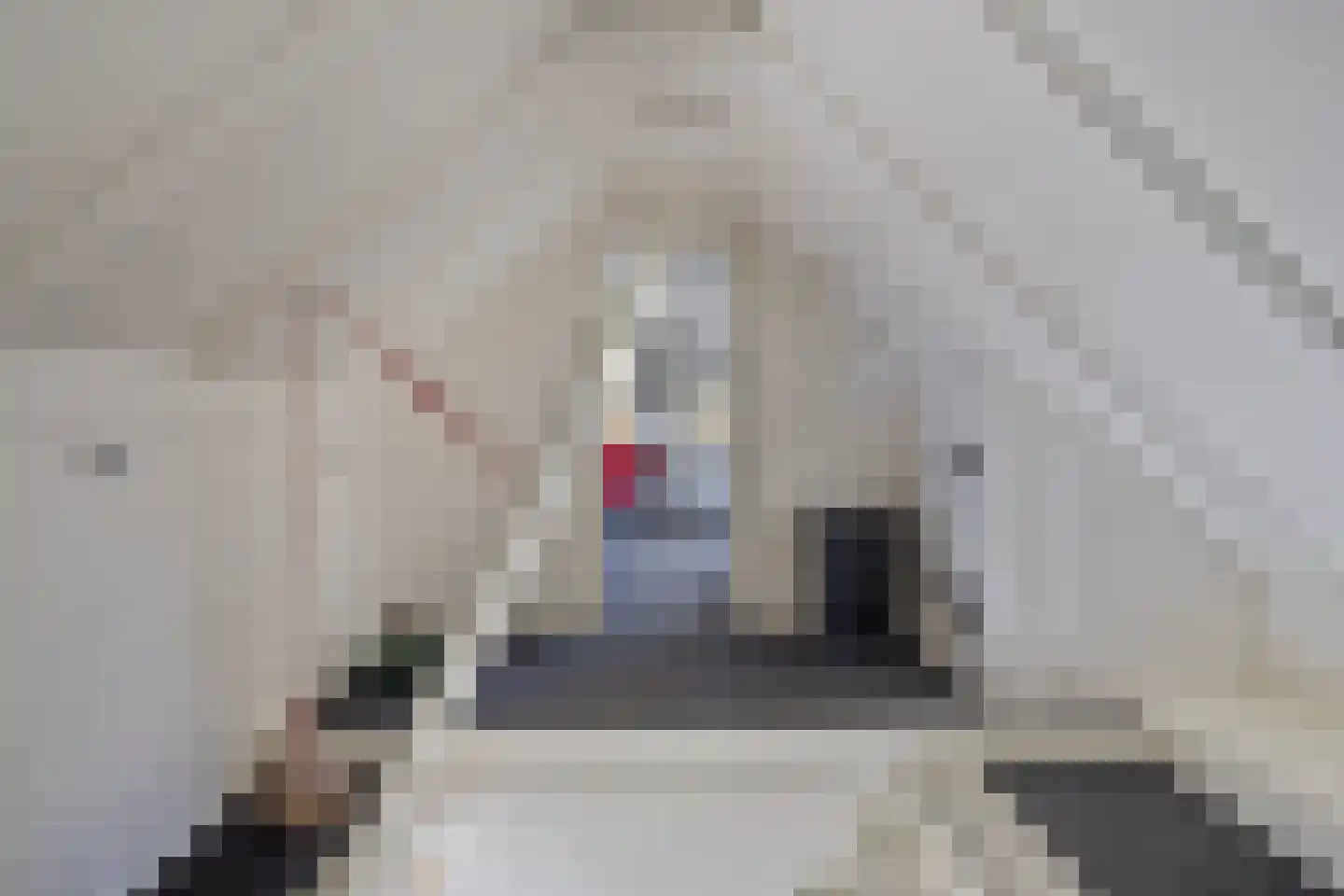Koekoeksweg 12 Dwingeloo thumbnail 31