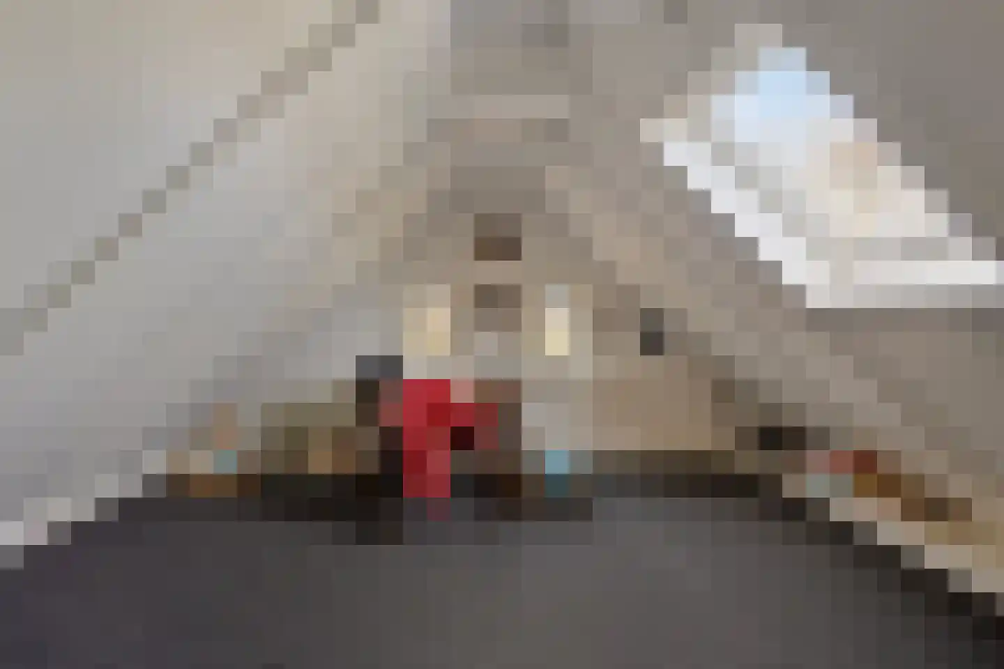 Koekoeksweg 12 Dwingeloo thumbnail 32