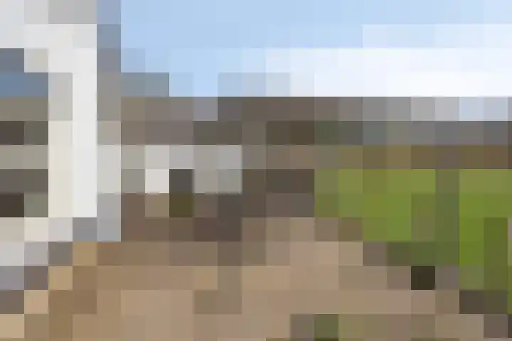 Koekoeksweg 12 Dwingeloo thumbnail 33