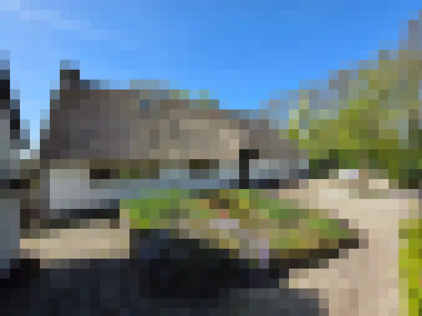 Koekoeksweg 12 Dwingeloo thumbnail 34