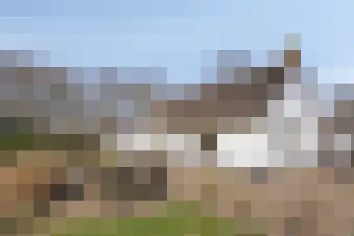 Koekoeksweg 12 Dwingeloo thumbnail 34