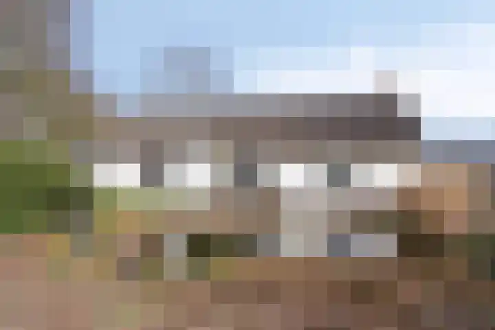 Koekoeksweg 12 Dwingeloo thumbnail 35
