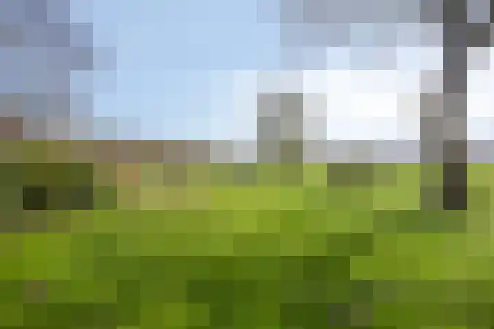 Koekoeksweg 12 Dwingeloo thumbnail 36