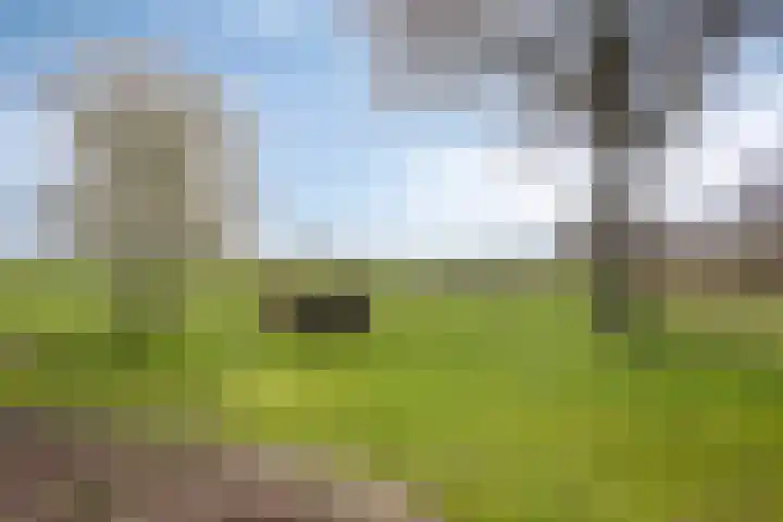 Koekoeksweg 12 Dwingeloo thumbnail 37