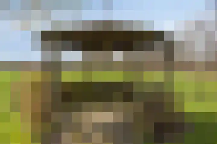 Koekoeksweg 12 Dwingeloo thumbnail 38