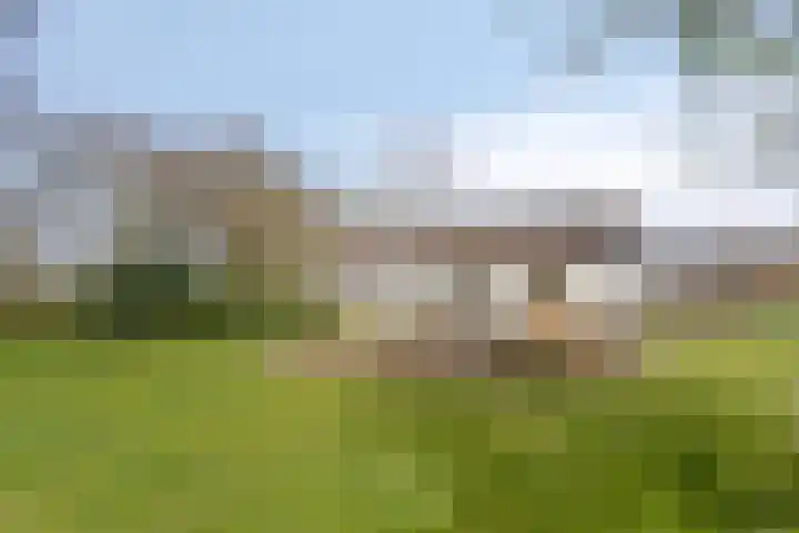 Koekoeksweg 12 Dwingeloo thumbnail 39