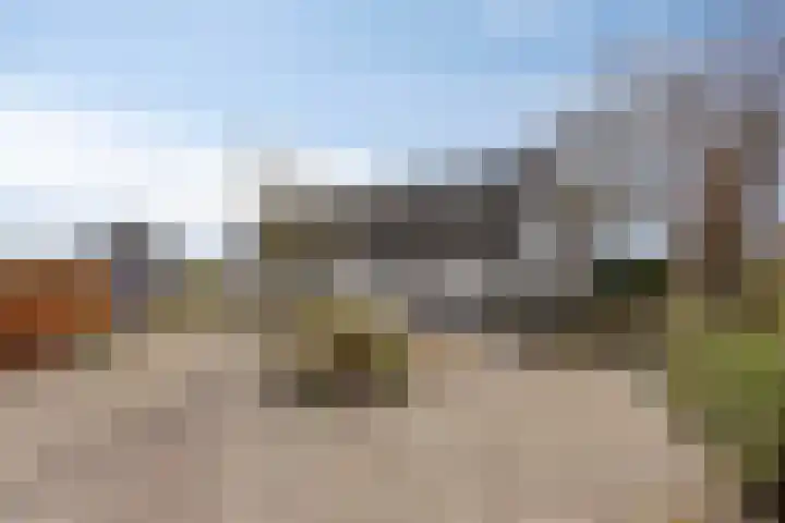 Koekoeksweg 12 Dwingeloo thumbnail 4