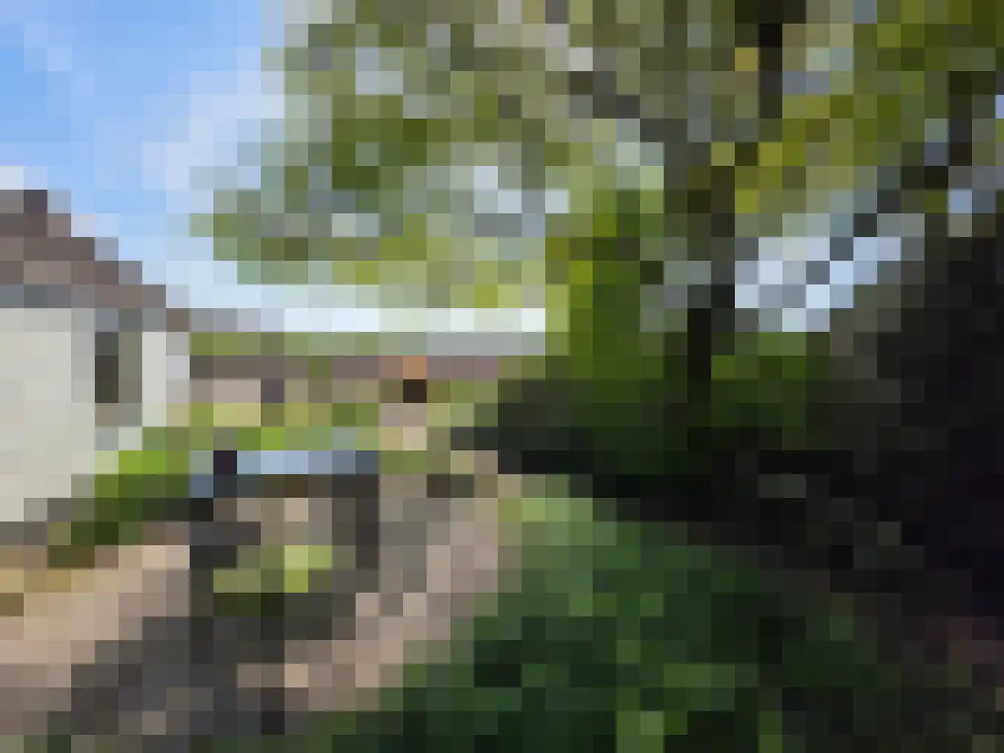 Koekoeksweg 12 Dwingeloo thumbnail 4