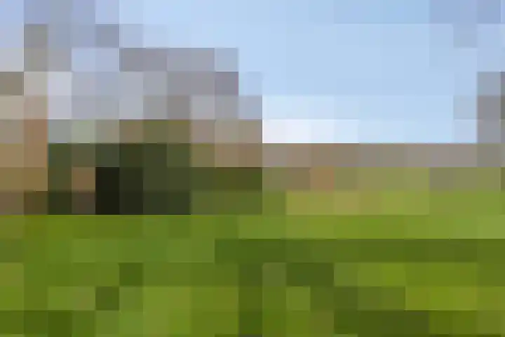 Koekoeksweg 12 Dwingeloo thumbnail 40