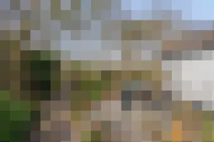 Koekoeksweg 12 Dwingeloo thumbnail 41