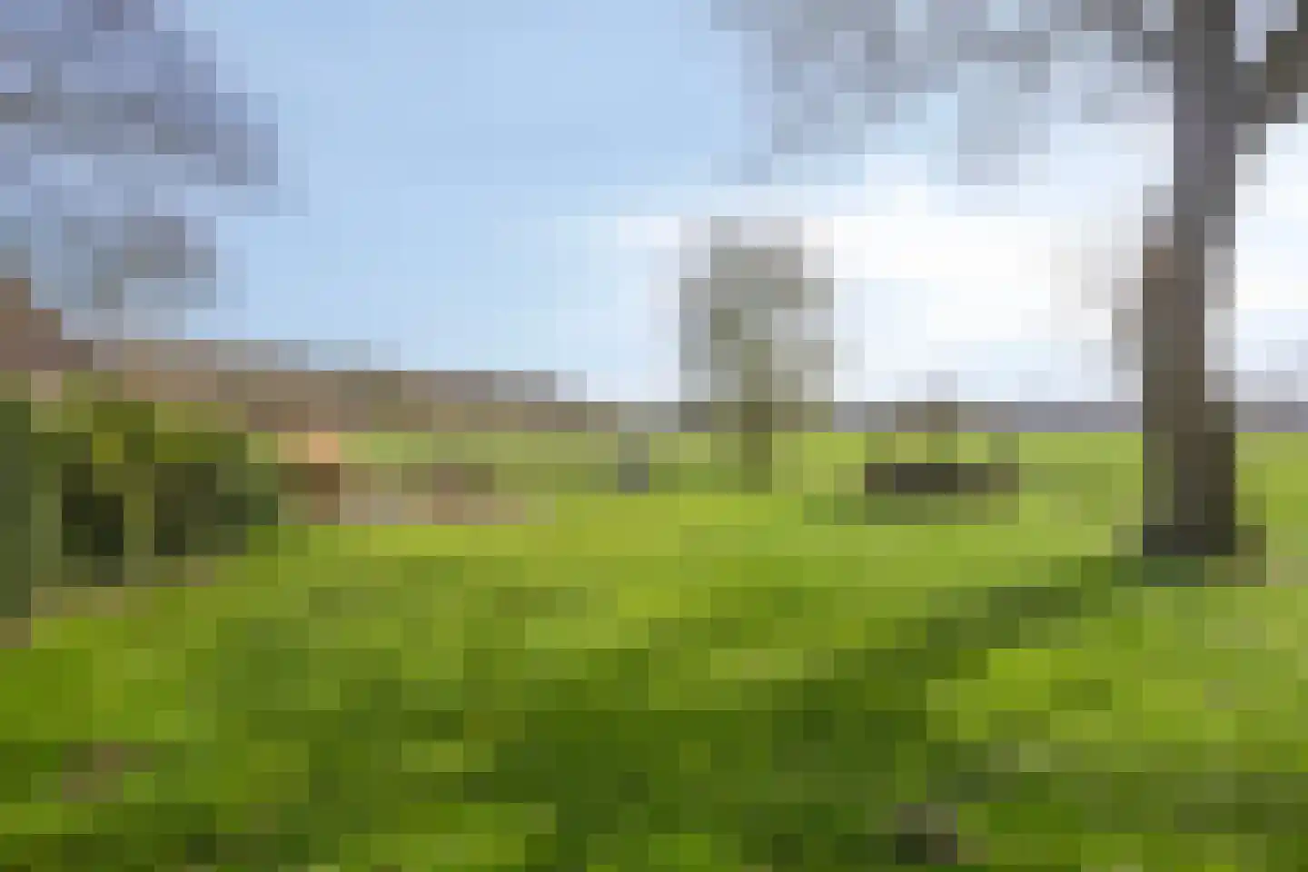 Koekoeksweg 12 Dwingeloo thumbnail 41