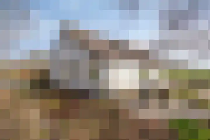 Koekoeksweg 12 Dwingeloo thumbnail 42